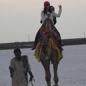 The Great Rann of Kutch: Following in Amitabh's footsteps