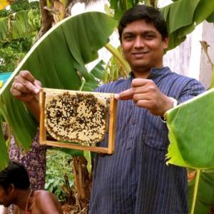 To bee or not to bee: How this man is capitalising on the buzz