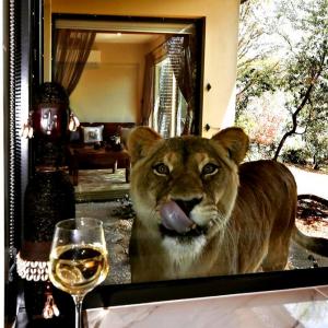 Excuse me, there's a lion near my wine