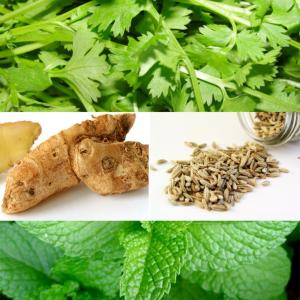 Quiz: Health benefits of everyday herbs
