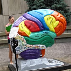 5 amazing facts about the brain