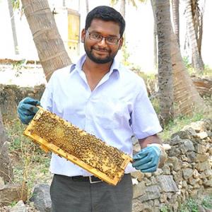 A software engineer to beekeeper