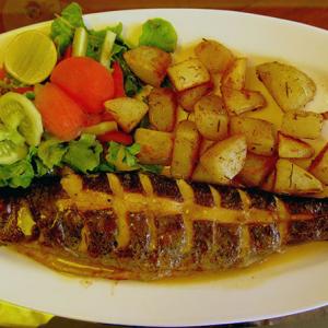 Grilled trout on a holiday in Manali
