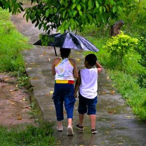 Monsoon pix: A walk in the rain