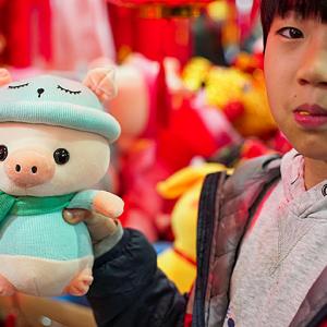 Chinese Year of the Pig: What does it mean?