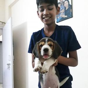 Meet Vivaan and his beagle Buddy