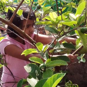 Gardening, drawing: How kids are staying busy