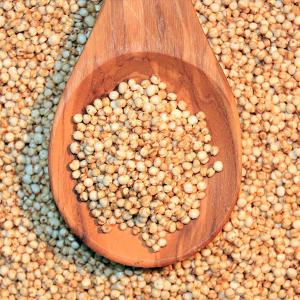 How quinoa became the world's fave superfood