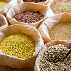 10 Millets To Include In Your Diet