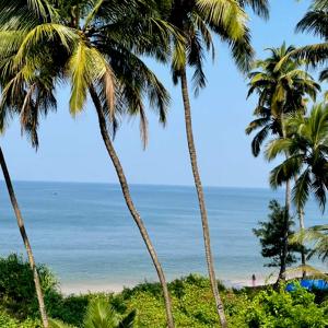 Is Tourism Destroying Goa?