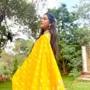 Sumbul Touqueer: The Girl With 85 Saris!