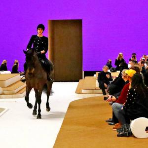 What's A Horse Doing At A Fashion Show?