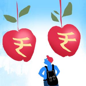 Banks Or NBFCs? Where to Go For Student Loans?
