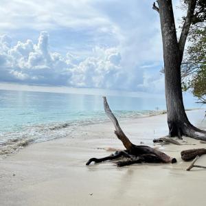 Forget Maldives, Visit India's Finest Beach