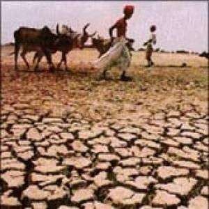 PM names top panel to monitor drought