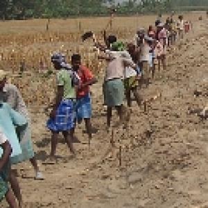 Why NREGA workers got Re 1 per day!