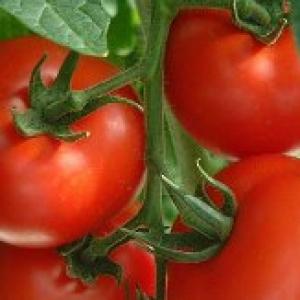 Tomato, garlic prices continue to rise