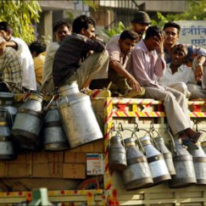 Rising milk prices: Common man suffers again
