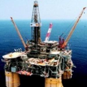 Vietnam supports India's bid for BP gas assets