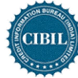 Cibil in pact with MFIs to set up credit bureau