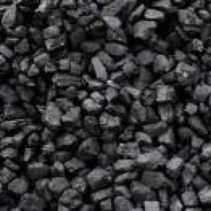 Coal India is Gold India, stay with it: Govt
