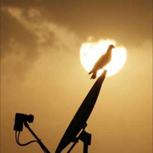 Govt allows telcos to share traded spectrum