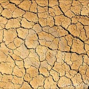 Global warming to rise, soil dries up