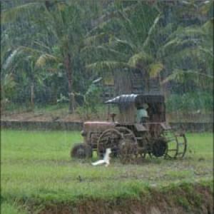 India likely to have near-normal monsoon
