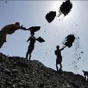 CIL eyes 15% stake in Aussie firm for $100 mn