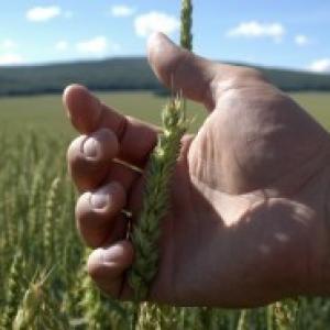 G-20 nations' meet to focus on food security