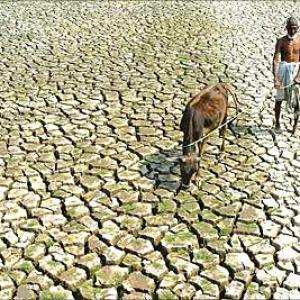 Climate 2020: India to be hardest hit