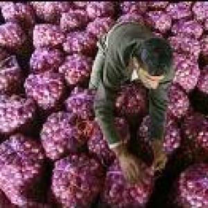 Pak ban on onion exports shocking, says India