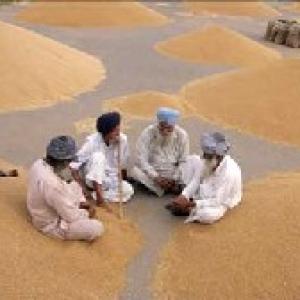 Govt may give right to food to BPL, APL families