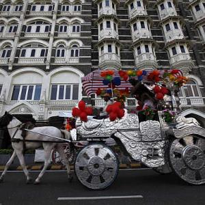 Bombay high court bans city's famous Victoria joyrides