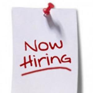 IT services, pharma could drive hiring in 2013