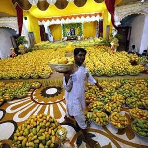 IMAGES: India's love affair with mangoes