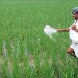 Fertilizer to gain from tax benefits for investments