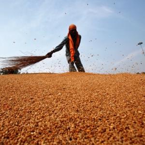 Sebi's new norms for commodities could see sugar, wheat delisted