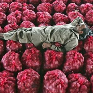 Nashik farmer gets 5 paise per kg for onions!