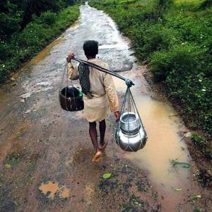 Odisha loses Rs 2,300 crore worth of crops to Phailin