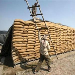 India says confident WTO will understand food security concerns