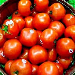 Tomato prices soar upto Rs 80/kg; Govt says keeping close eye