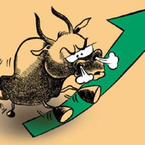 Bulls on a rampage; Sensex, Nifty end at record highs