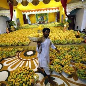 EU bans Indian Alphonso mangoes, veggies from May 1