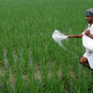 IIFCO ranked 1st among world's largest agri cooperatives