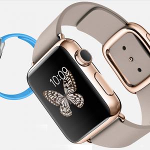 Fashion world divided on first look at Apple Watch