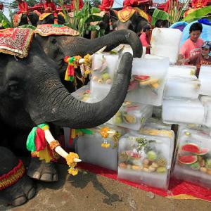 Can Indian elephant take on Chinese dragon? Not in next 20 yrs