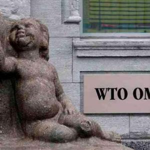WTO talks conclude, leaves India disappointed