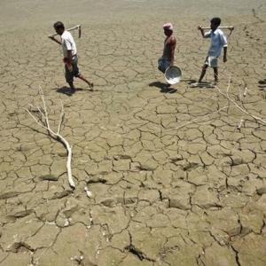 Modi's soil health card plan: BJP-ruled states among worst performers