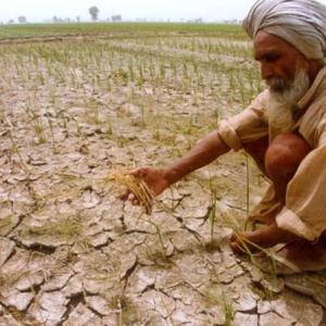 'Prolonged period of below-normal rain is due to change this year'